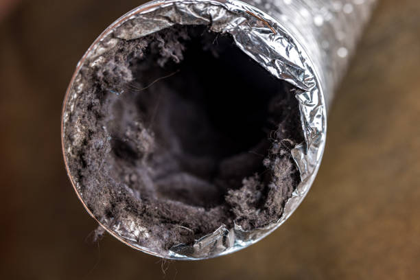 Best Professional Duct Cleaning Services  in Yale, MI