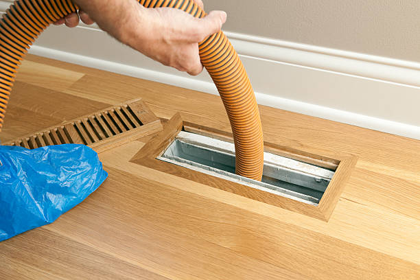 Best Air Duct Sanitizing Services  in Yale, MI